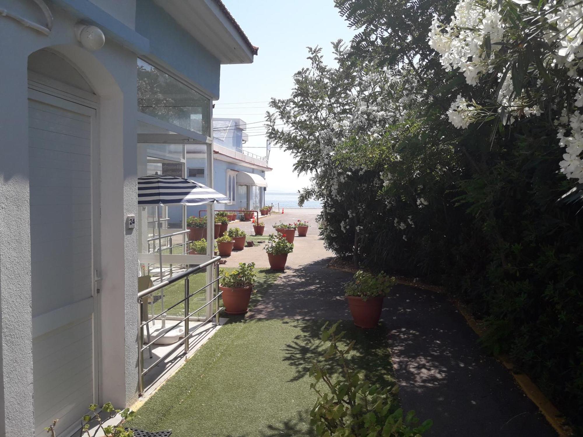 Homely Studios Sakız Dış mekan fotoğraf